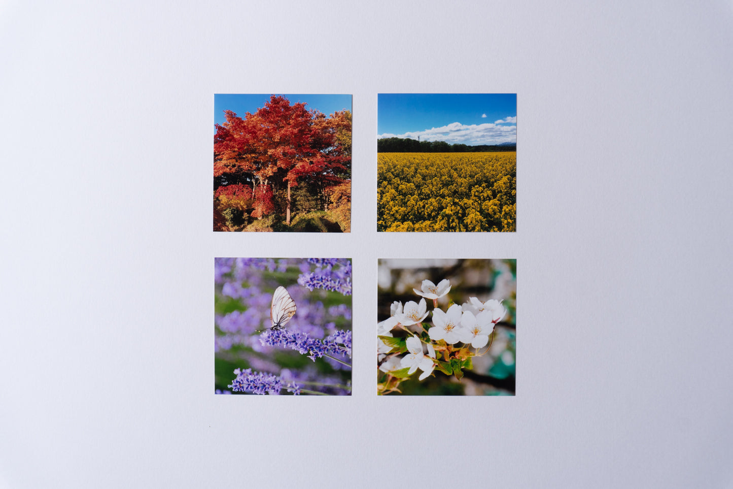 写真プリント(アルバムご購入の方限定)